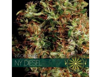NY Diesel (Vision Seeds) - 3 Zaden