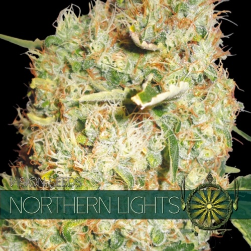 Northern Lights (Vision Seeds) - 3 Seeds