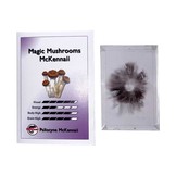 Sporen Print Psilocybe Cubensis Mexican