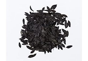 Lactuca virosa (wild Lettuce) - 10 Zaden