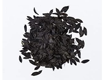 Lactuca virosa (wild Lettuce) - 10 Seeds