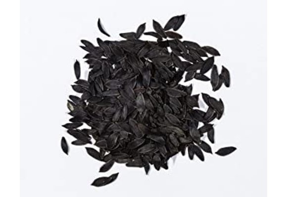 Lactuca virosa (wild Lettuce) - 10 Zaden