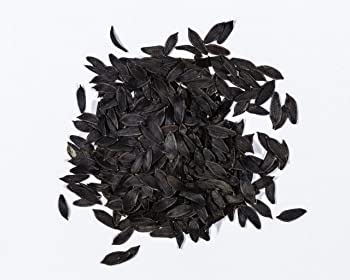 Lactuca virosa (wild Lettuce) - 10 Seeds