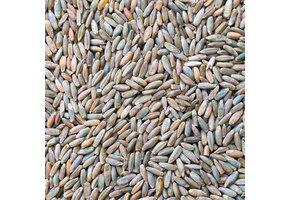 Rogge Graan -1000 GR