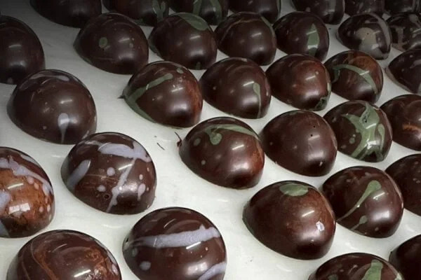 Wise Rootz - Signature Synergy