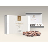 Wise Rootz - Signature Synergy