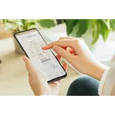 Wise Rootz - Signature Synergy