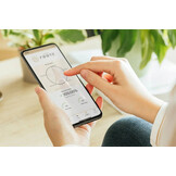 Wise Rootz - Peak Performance