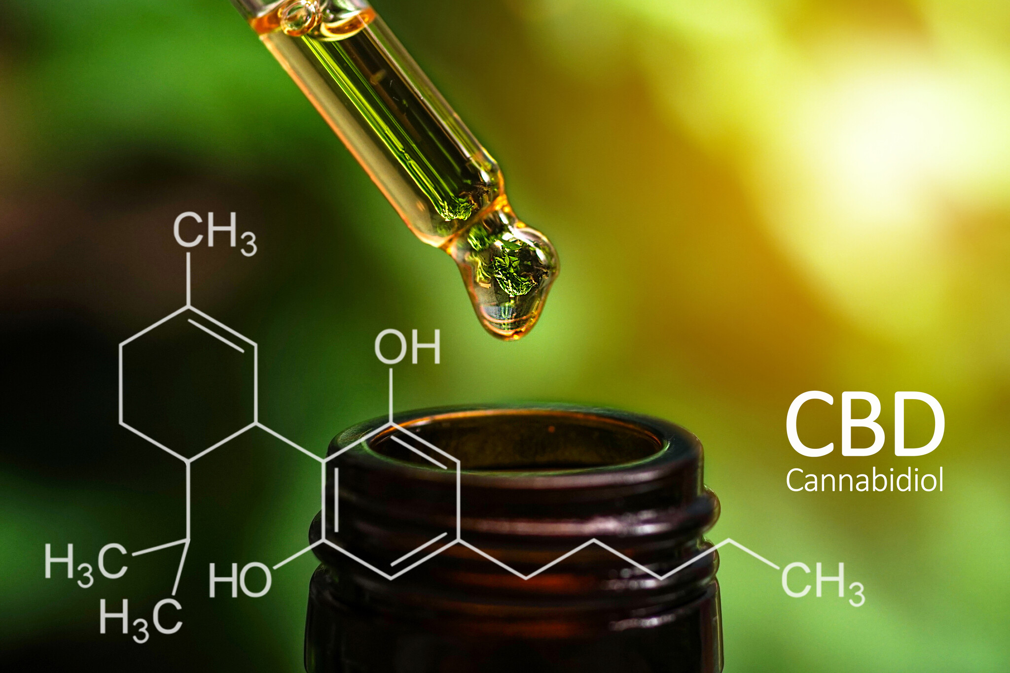 How does the entourage effect of CBD oil work?