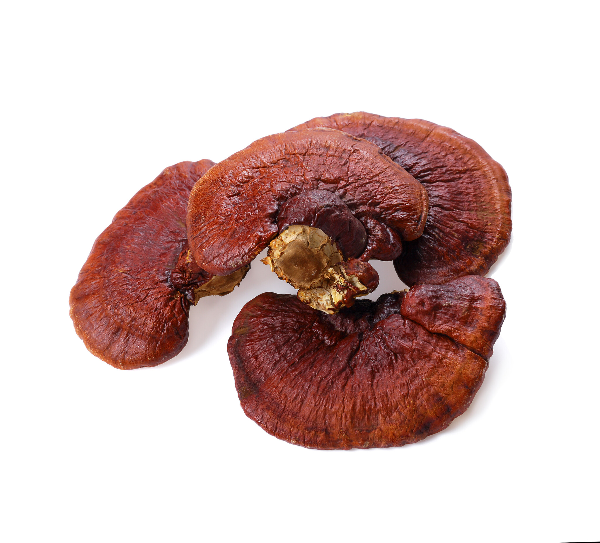 5 reasons why you could use more mushrooms in your life