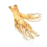 Ginseng  poeder - Panax Ginseng