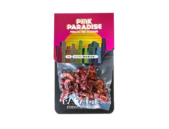 Pink Paradise Mushroom Truffels