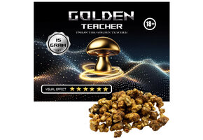 Golden Teacher Truffels