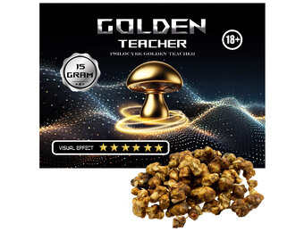 Golden Teacher Truffels
