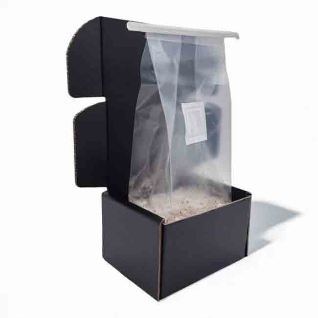 Jack Frost Mushroom Grow Kit