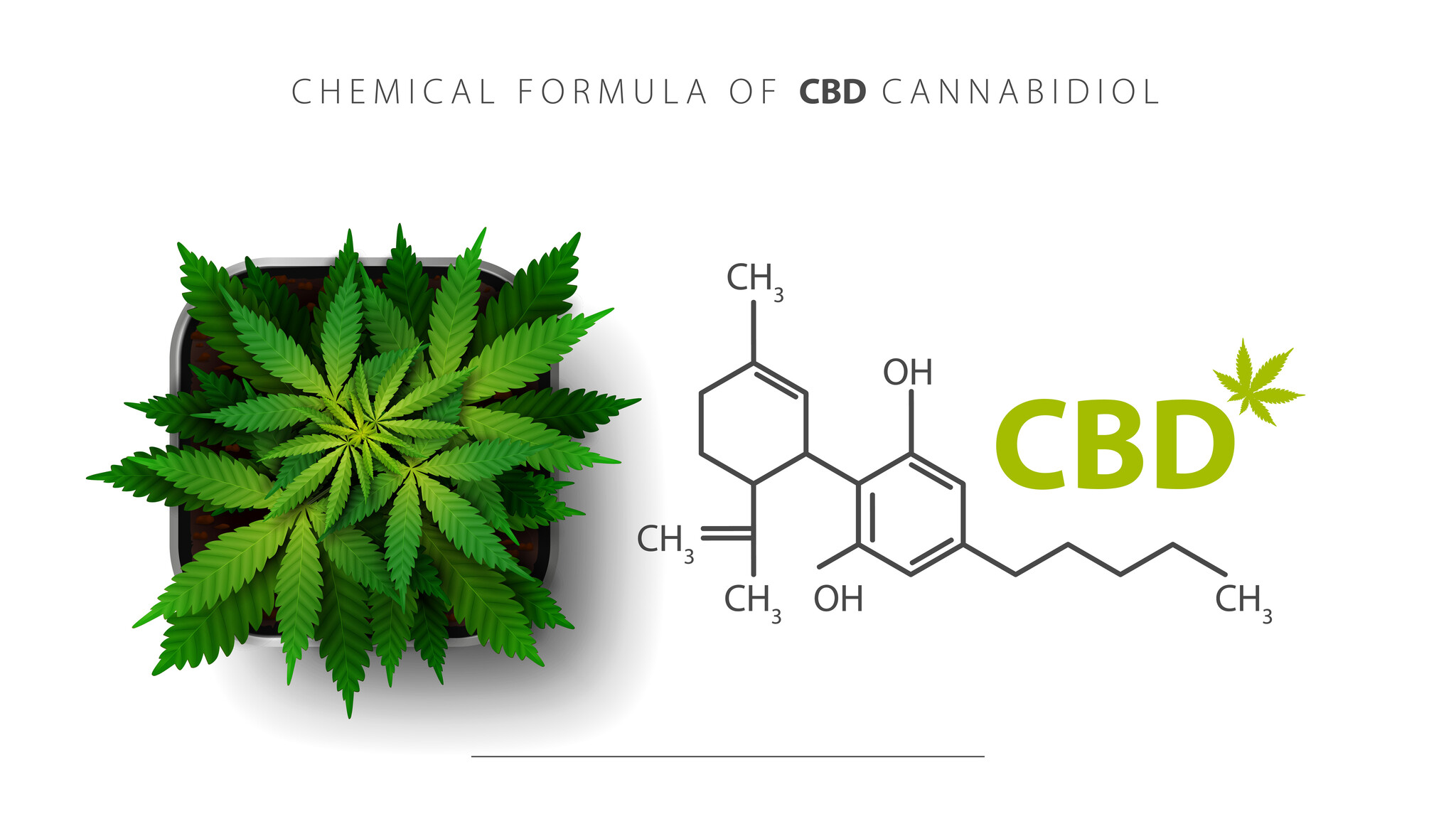 Hoe kun je het beste CBD kristallen doseren?