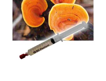 Red Reishi (Ganoderma lucidum) Liquid Culture Spuit - 20 ML
