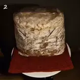 Lion’s Mane Mushroom  Groeikit  XL