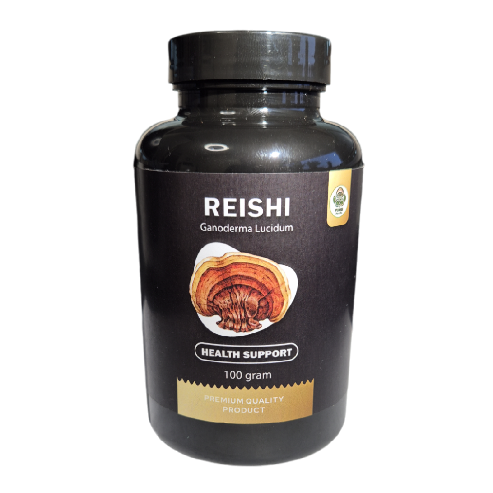 Reishi (Ganoderma lucidum) – Health Support