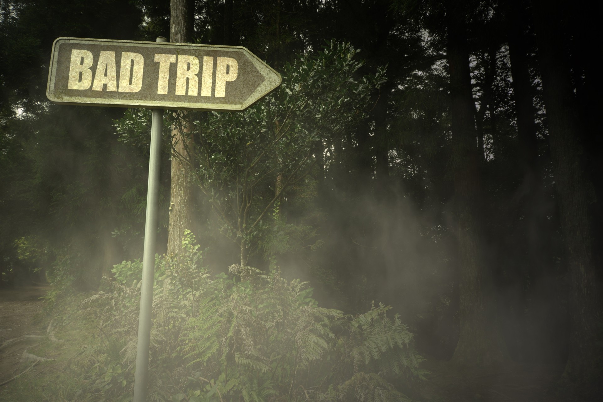 The 5 Most Common Reasons for a Bad Trip