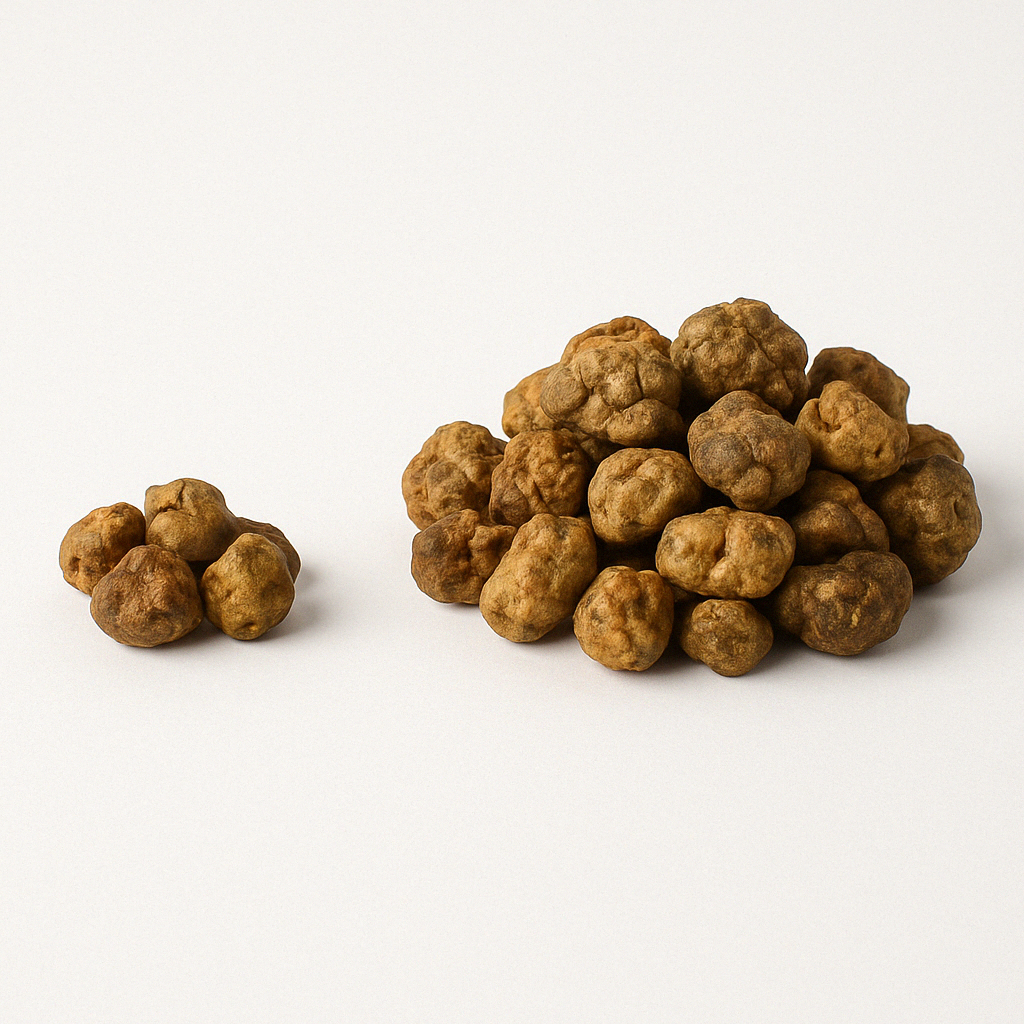 Wat is psilocybine tolerantie?