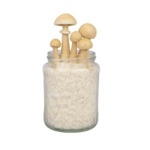 Albino A+ Mushroom Spawn