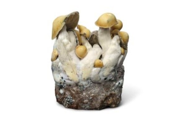 Mac Galactic Mushroom Grow Kit