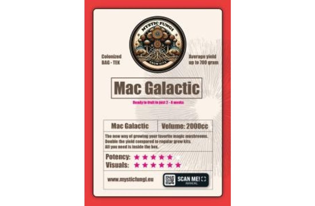 Mac Galactic Paddo Kweekset