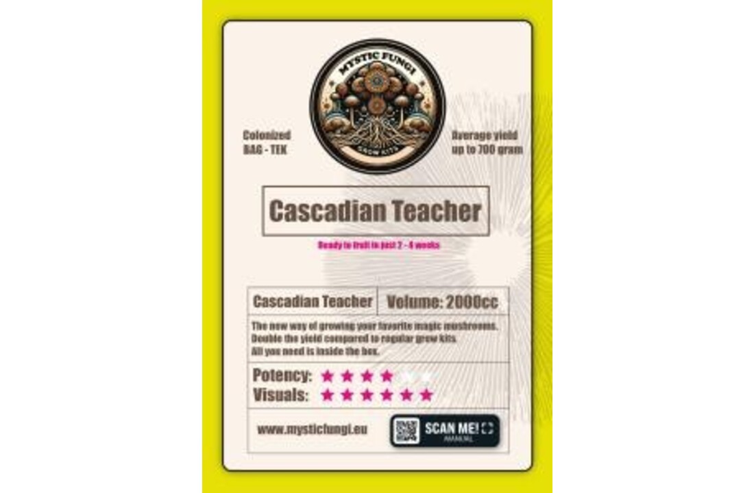 Cascadian Teacher Paddo Kweekset