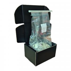 True Albino Teacher Mushroom Grow Kit