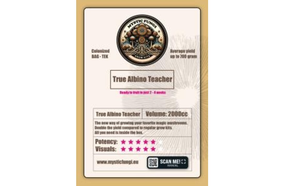 True Albino Teacher Mushroom Grow Kit