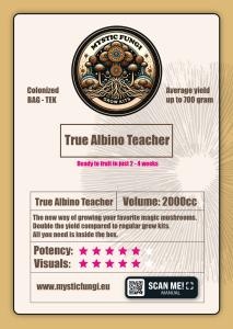 True Albino Teacher Mushroom Grow Kit