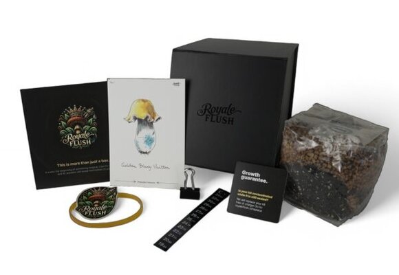 Royale Flush Iceberg Growkit