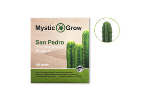 San Pedro T Bridgesii Zaden