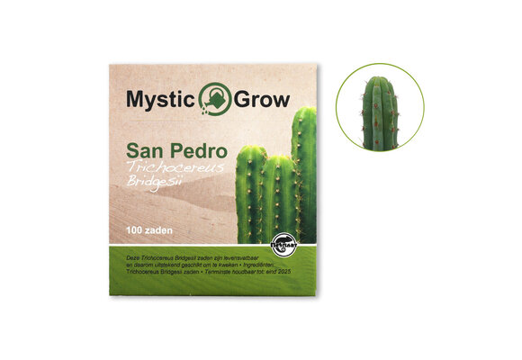 San Pedro T Bridgesii Zaden