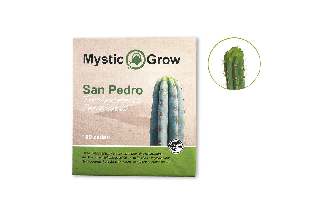 San Pedro T Peruvianus Zaden - 100 Stuks
