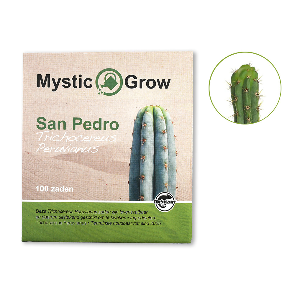 San Pedro T Peruvianus Zaden - 100 Stuks