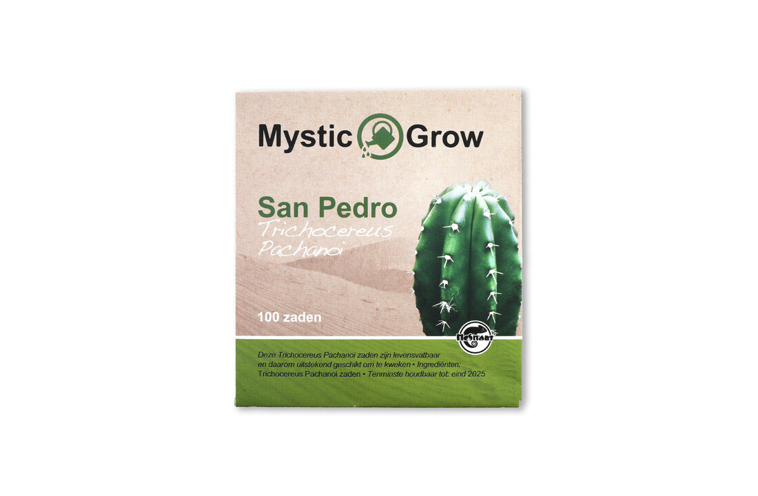 San Pedro T Pachanoi Seeds - 100 Pcs