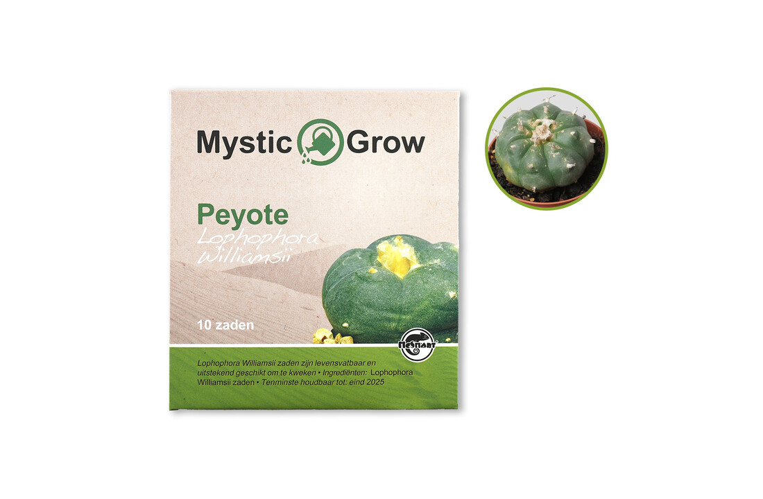 Peyote L Williamsii Zaden - 10 Stuks