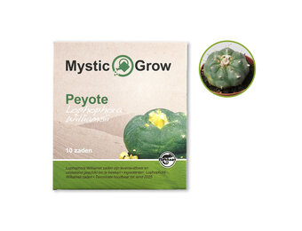 Peyote L Williamsii Zaden