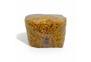 Sterile Corn Breeding Bag - 2000 cc
