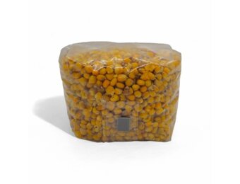 Steriele Mais Broedzak - 2000 cc