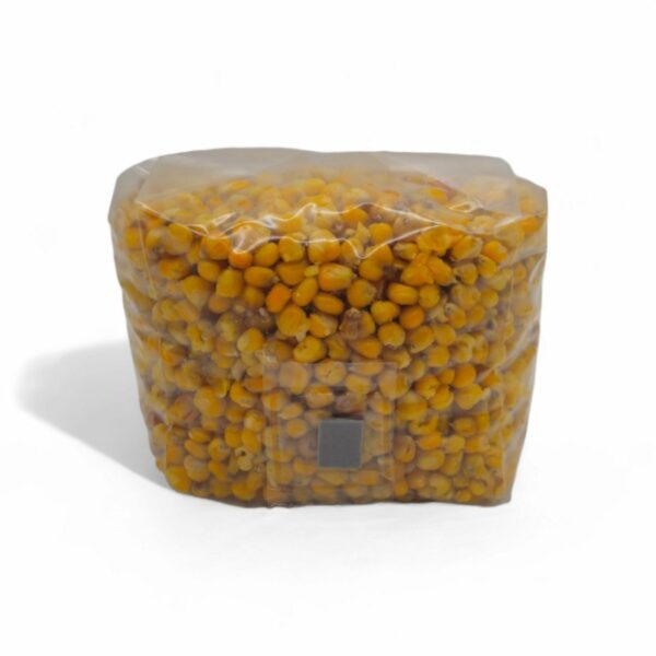 Sterile Corn Breeding Bag - 2000 cc