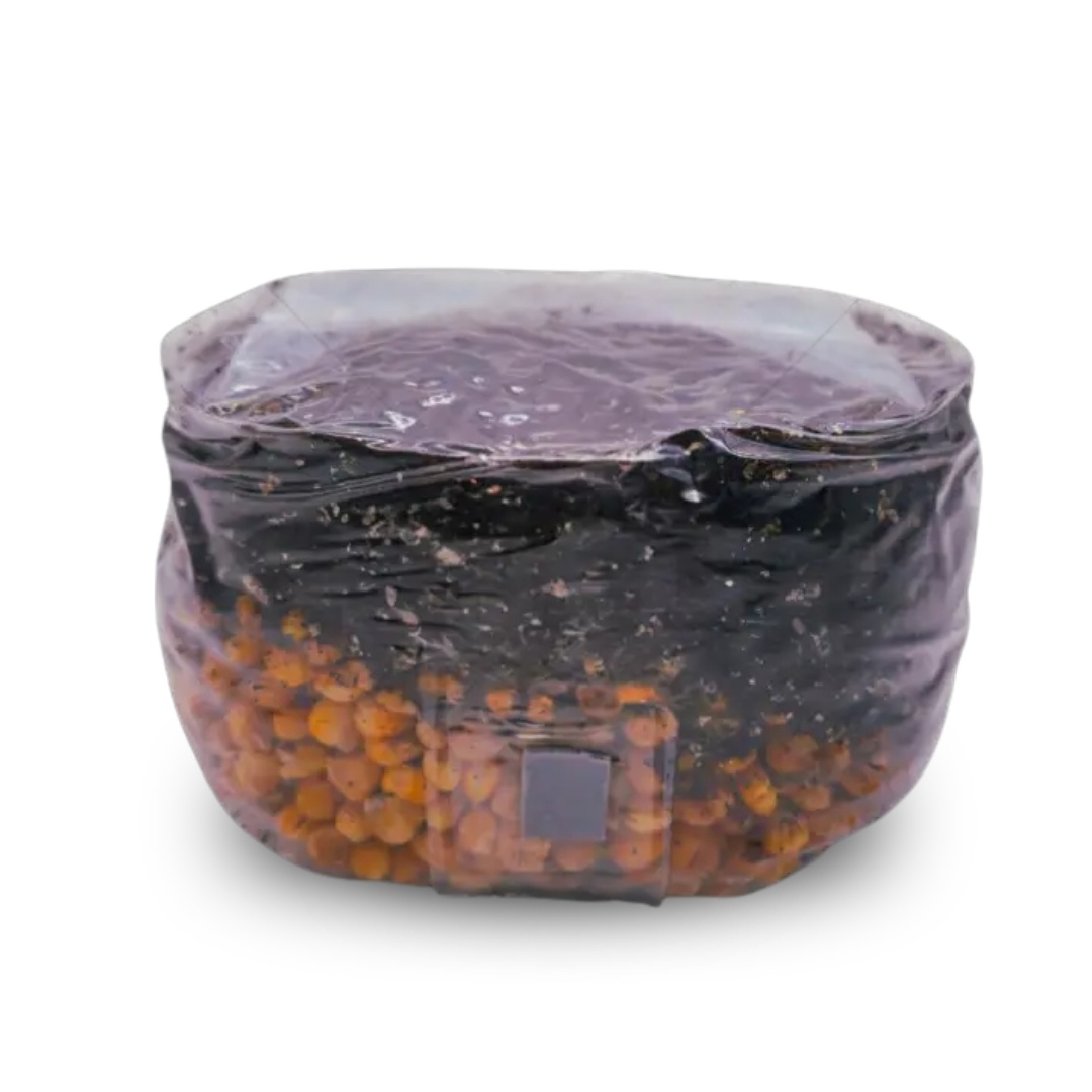 All In One Growbag - 2000cc