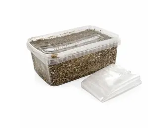 Sterilised substrate