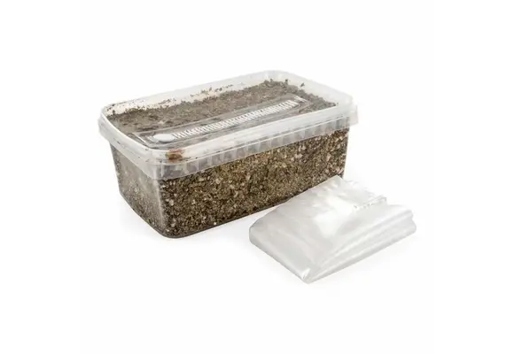 Sterilised substrate