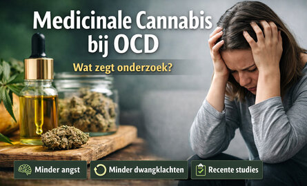 Medicinale cannabis bij OCD: wat zegt onderzoek over werking en effect?