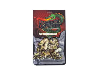 Dragon Dynamite Mushroom Truffels