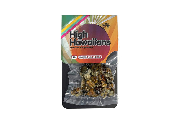 High Hawaiians Mushroom Truffles