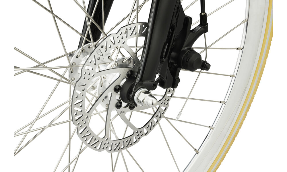 BOSTON MALE WATT BOSTON MALE